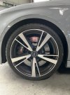 IMG_1637.jpeg