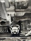 IMG_5286.jpeg