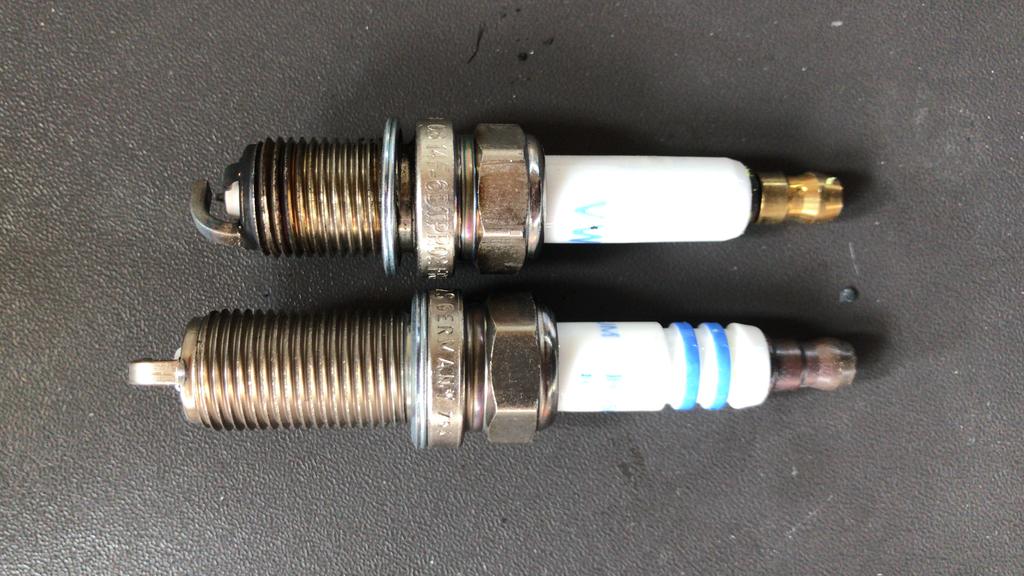 33527606zm.jpg